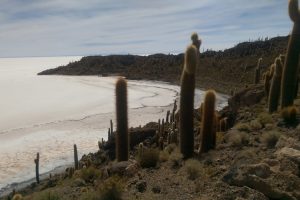 Boltur: Maravillas andinas Orinoca – Salinas de Garci Mendoza – Uyuni