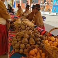 Rutas Turísticas Gastronómicas Agroalimentarias para fortalecer economía comunitaria campesina